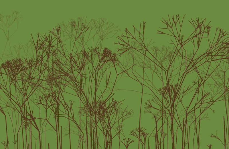 My version of object oriented fractals creating a forest randomly